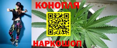 сатива Будённовск